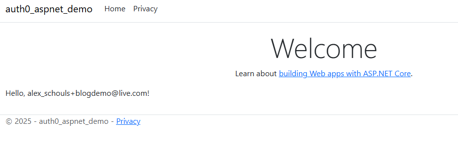 User details from .NET Identity